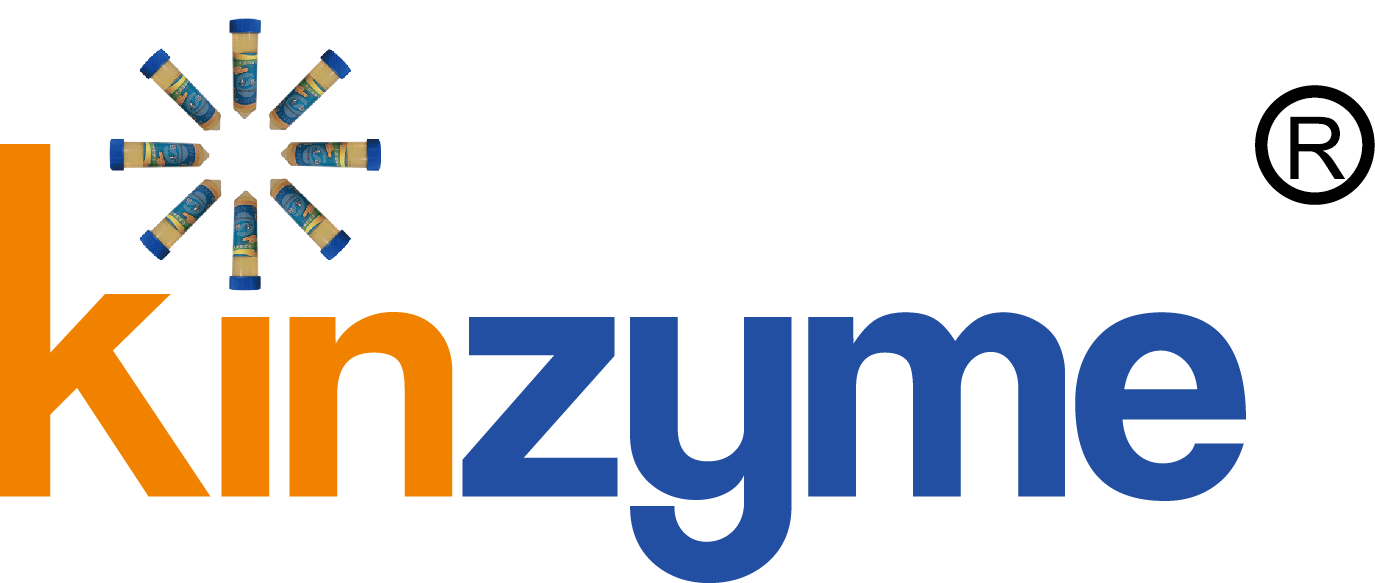 Kinzyme Logo